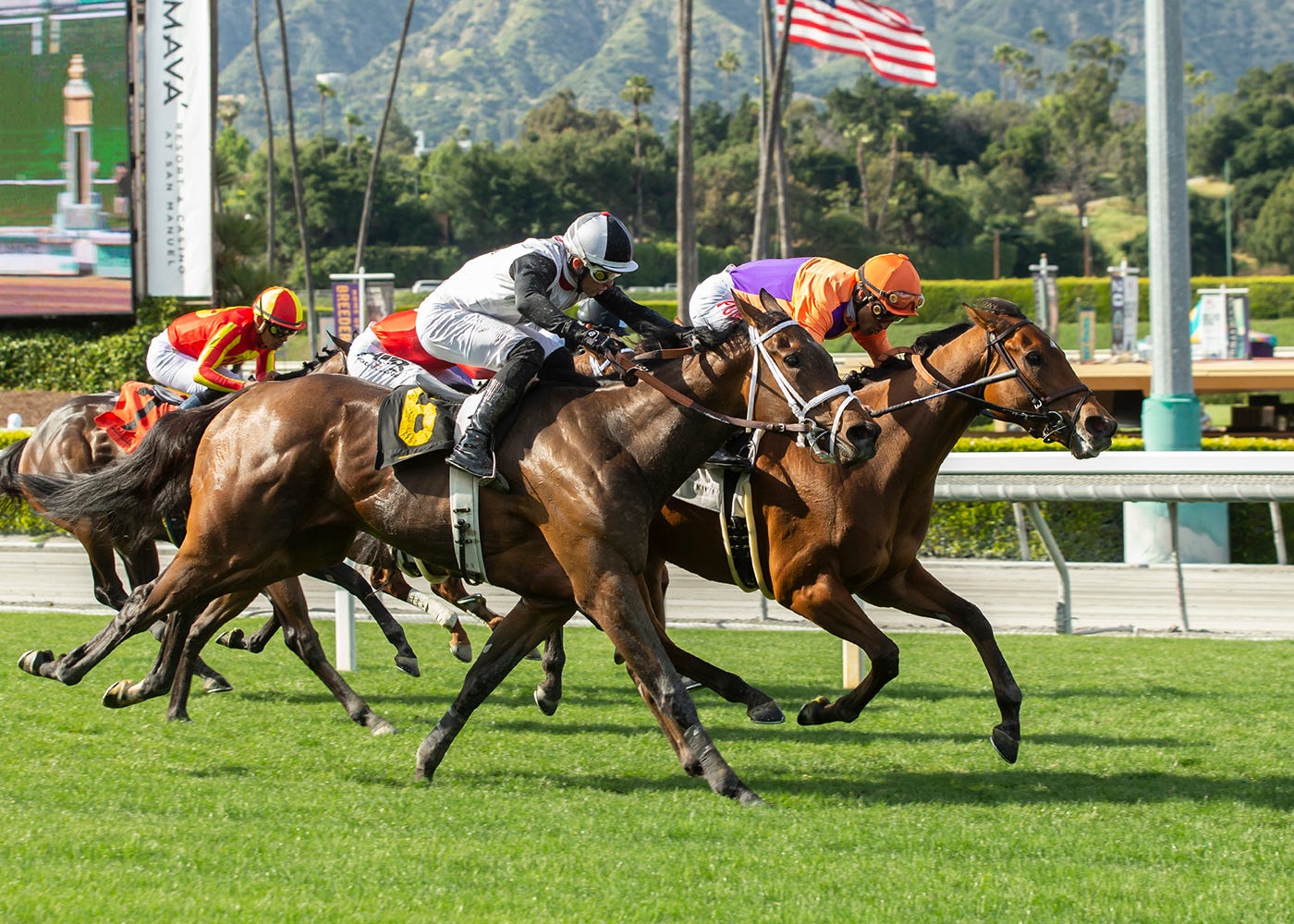 Teena Ella, One in Vermillion: Two winners, two entirely different